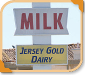 Jersey Gold Dairy