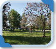 Rosewood Park, click to enlarge